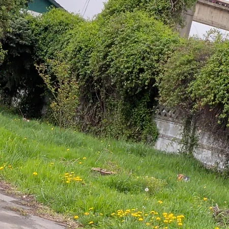 Apartman Dungos *