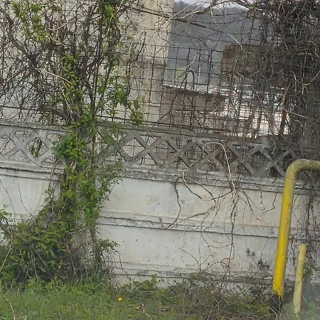 Dungos